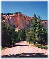 Allen Canyon Road